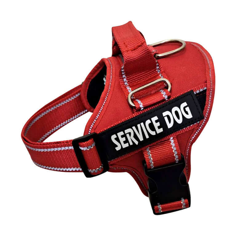 Personalised Pet Chest Strap – Custom Harness for Dogs & Cats - All you Need