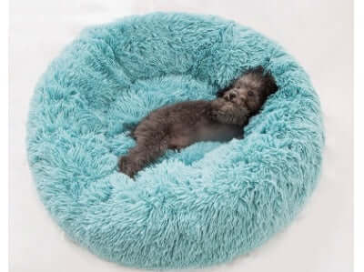 Soft Cozy Pet Bed – Comfort Your Pet Deserves - All you Need