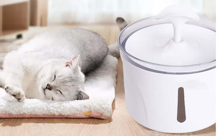 Pet Water Dispenser Intelligent Automatic Circulating Filter Water Dispenser - All you Need