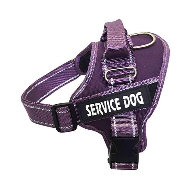Personalised Pet Chest Strap – Custom Harness for Dogs & Cats - All you Need