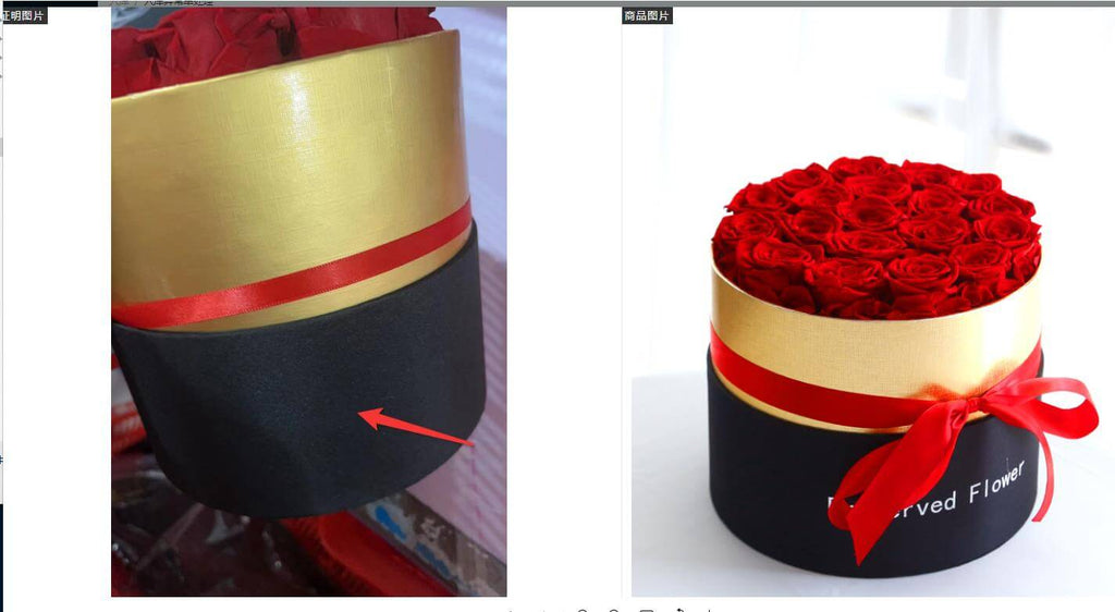 Preserved Real Roses Gift Box | Eternal Flowers | All you Need - All you Need