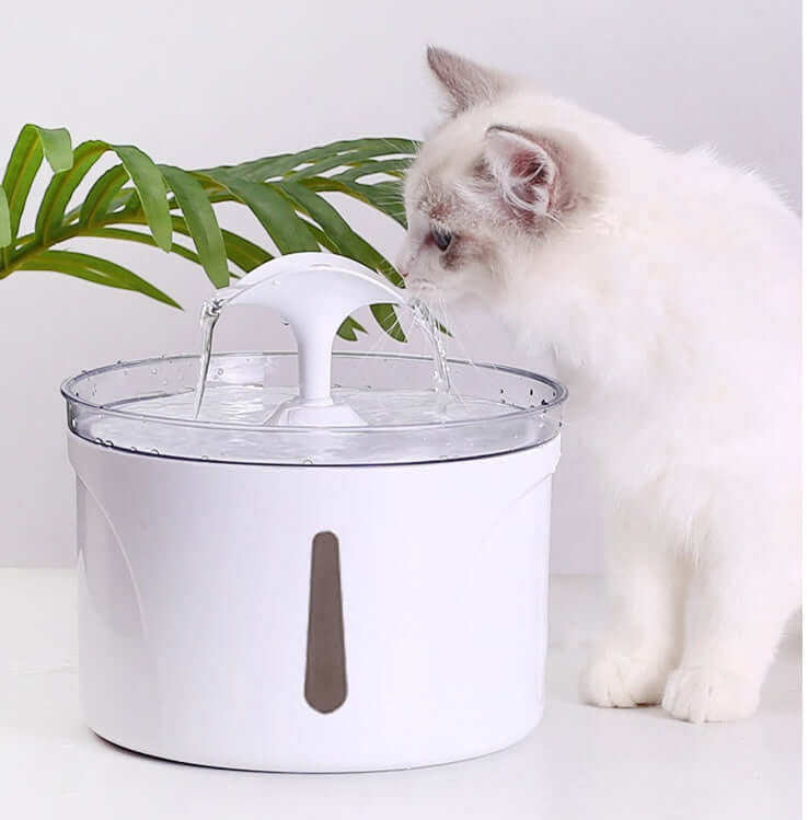 A cat drinking from an automatic pet water dispenser with a circulating filter feature.