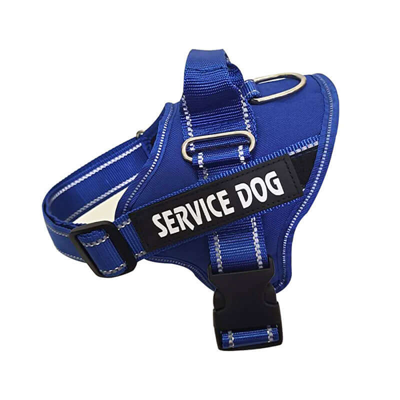 Personalised pet harness for service dogs in blue with reflective stitching and a labeled strap.